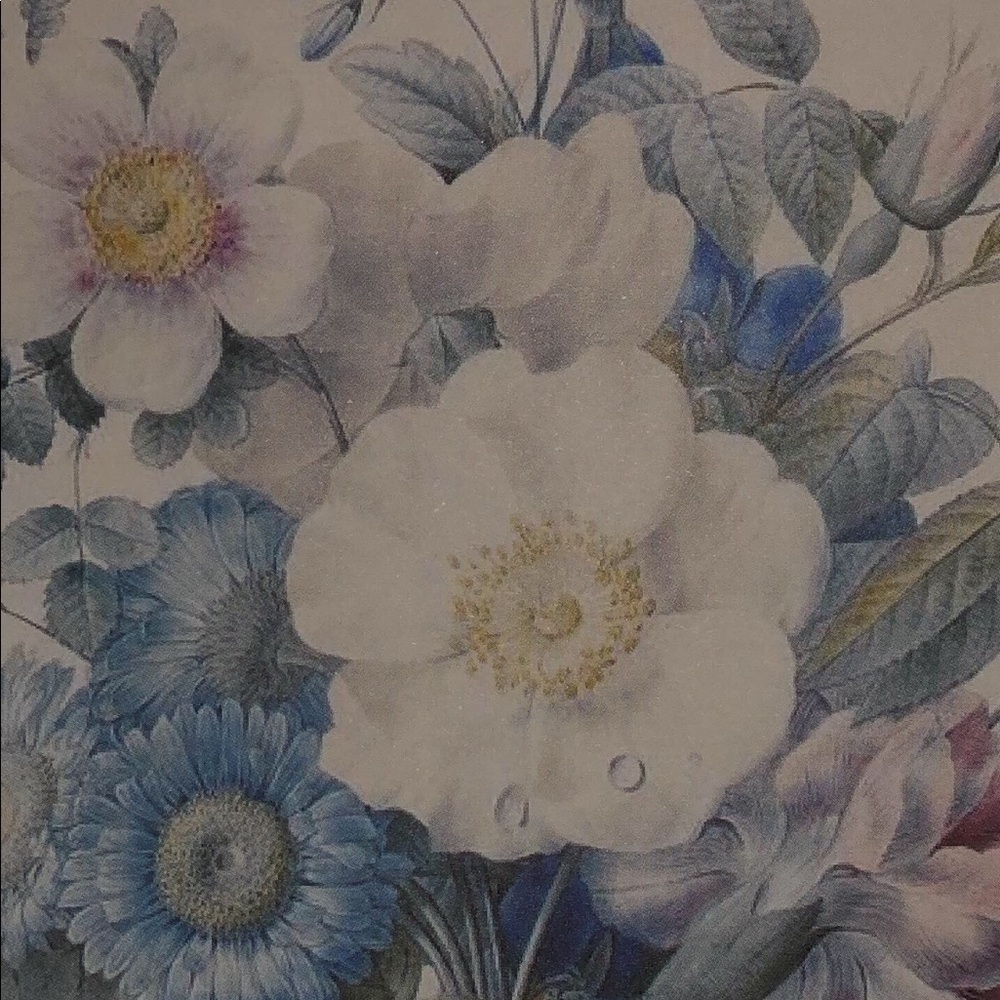 Meet your Posher, Chloe